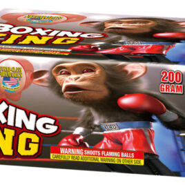 Boxing King