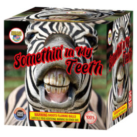 Somethin’ in my Teeth