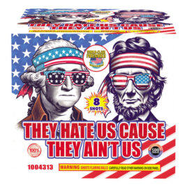 They Hate Us Cause They Ain’t Us