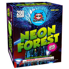 Neon Forest