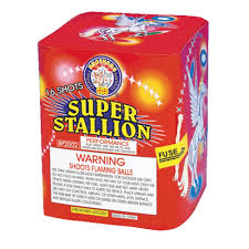 Super Stallion