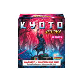 Kyoto Rising