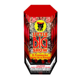 Little Big Show