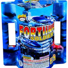 Fortune Soldier